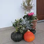 Nocleg ze śniadaniem Al Tempo Ritrovato Pianfei