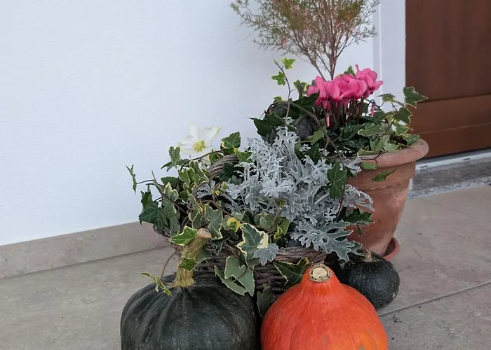 Bed & Breakfast Al Tempo Ritrovato Pianfei
